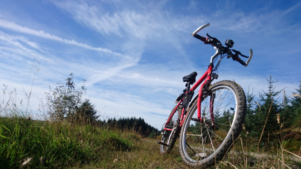 When Should You Replace Bike Tyres? Signs Yours Are Worn Out